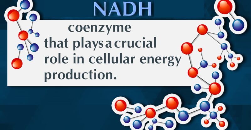 Nicotinamide adénine dinucléotide réduit NADH