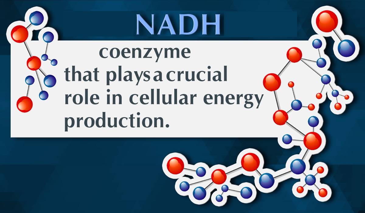 Nicotinamide adénine dinucléotide réduit NADH
