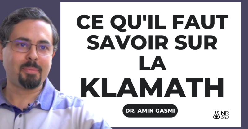 [VIDEO] La Klamath :  ce qu&rsquo;il faut savoir de cette « algue bleue »