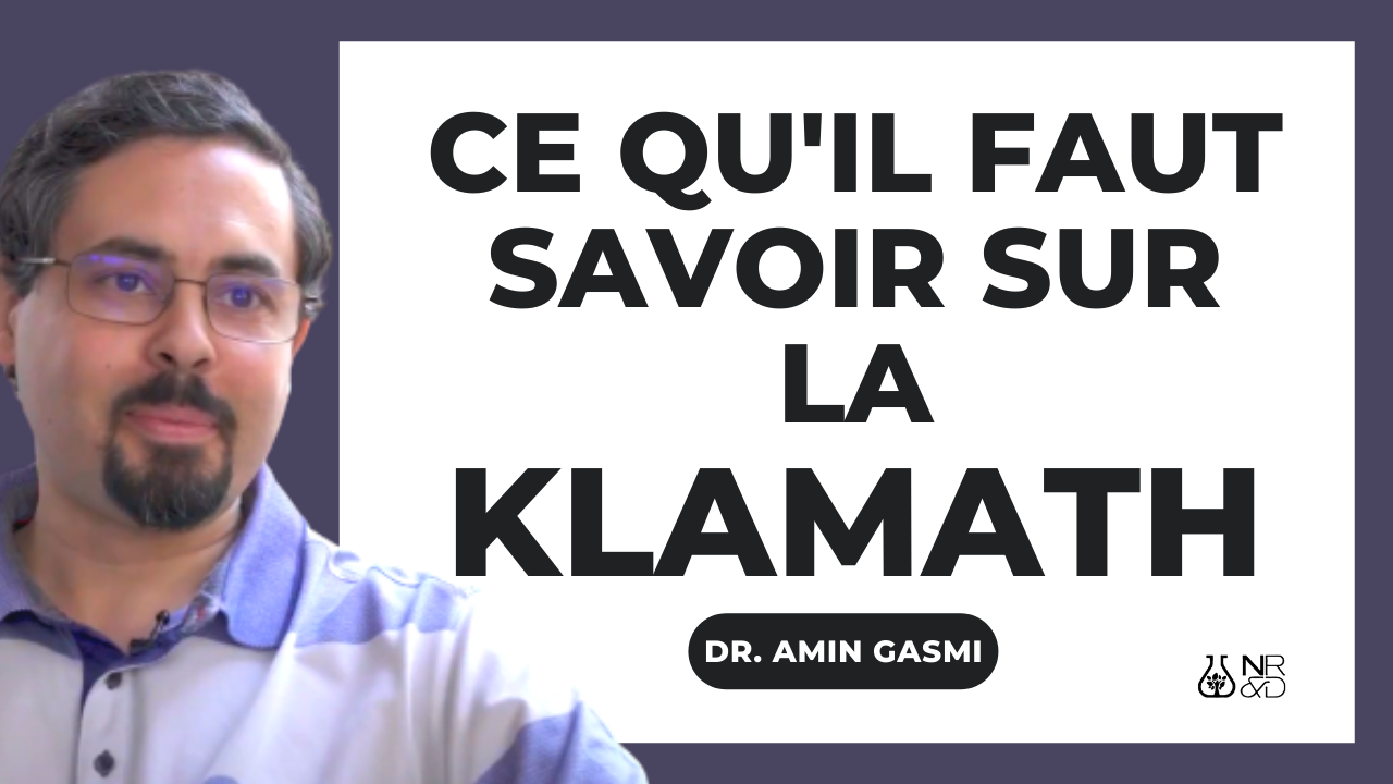 [VIDEO] La Klamath :  ce qu&rsquo;il faut savoir de cette « algue bleue »