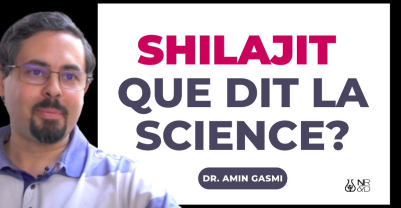 [VIDÉO] Shilajit, que dit la science?