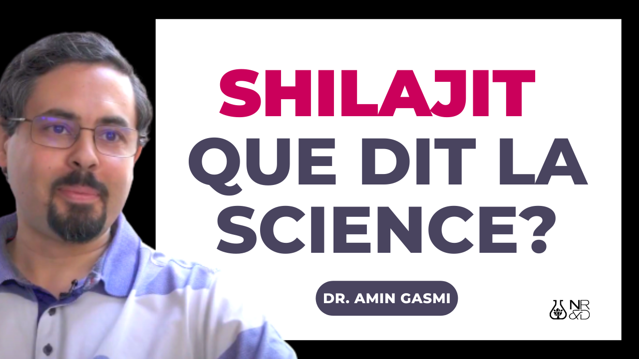 [VIDÉO] Shilajit, que dit la science?