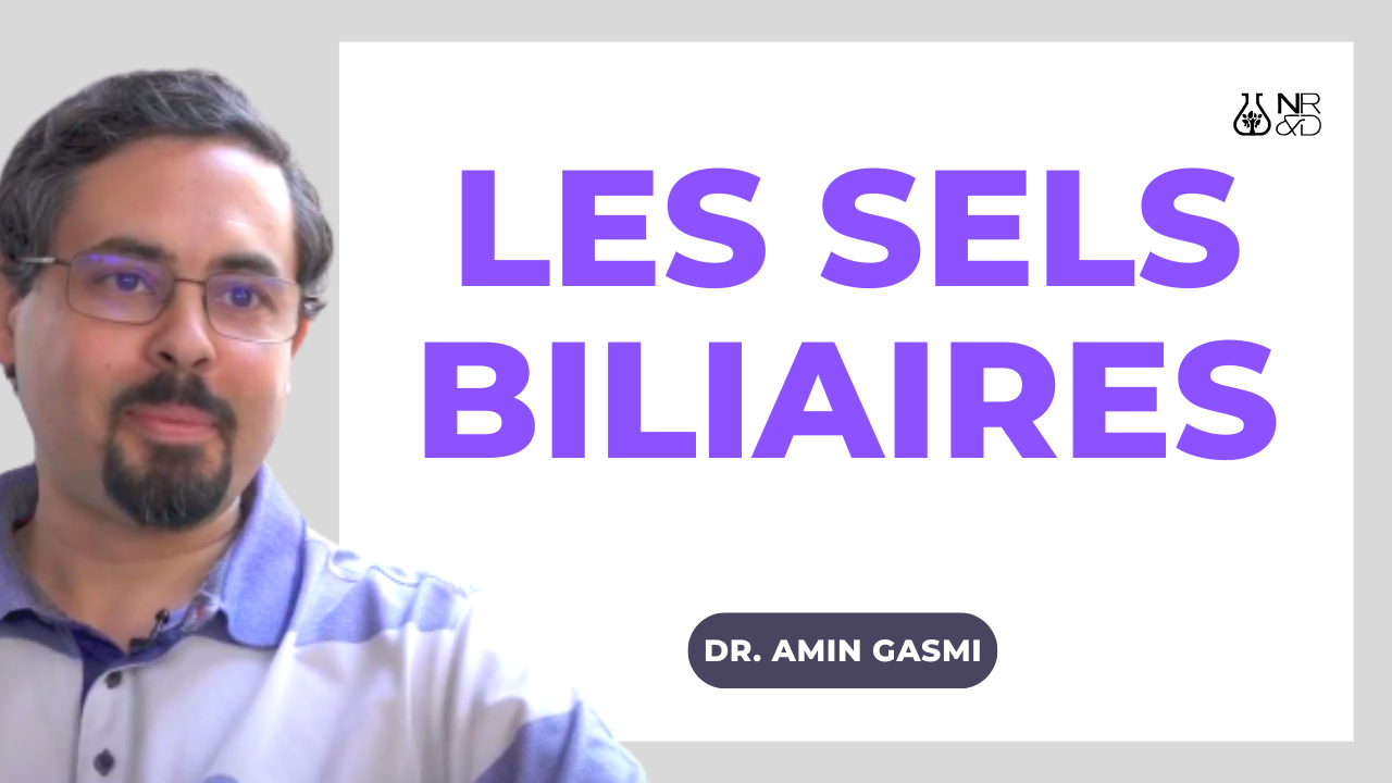 [Vidéo] Les SELS BILIAIRES dans la sphère digestive, ce que dit la science.