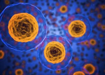 cells, human, medical