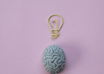 Paperclip in a Shape of a Light Bulb and a Rubber Eraser in a Shape of a Brain