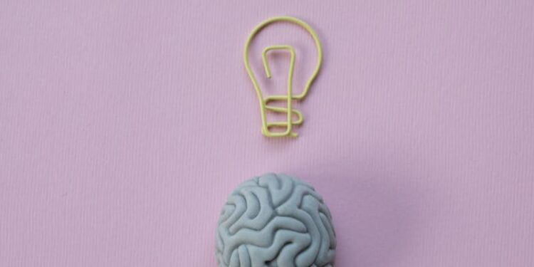 Paperclip in a Shape of a Light Bulb and a Rubber Eraser in a Shape of a Brain