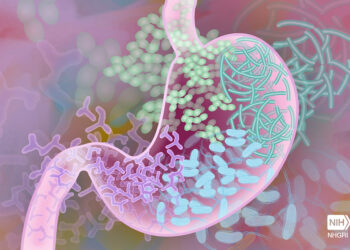 Nutrition de Précision et Microbiome : Le Pouvoir des Acides Gras à Chaîne Courte (AGCC)