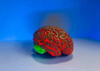 brain figurine
