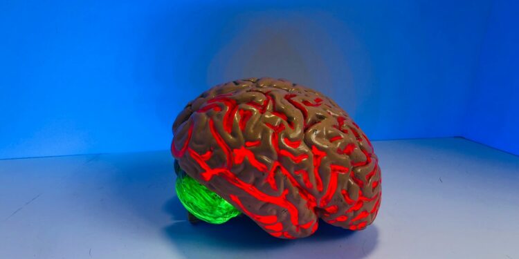brain figurine