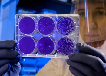woman holding laboratory appratus