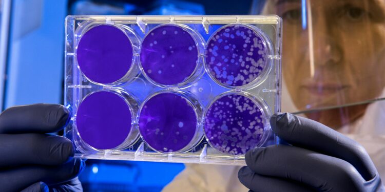 woman holding laboratory appratus