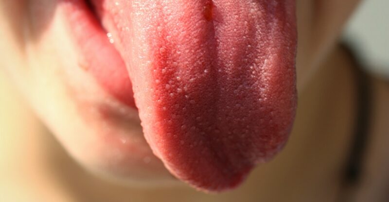 Pourquoi tout ce qui est amer n&rsquo;est pas nocif ?