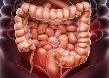 colon, anatomy, medical