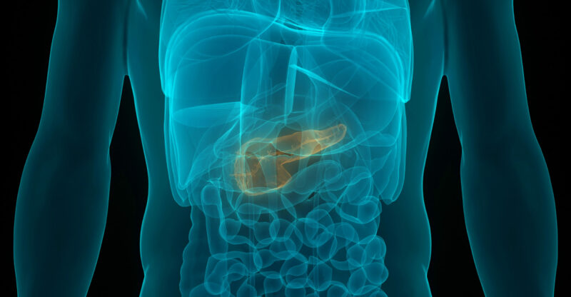 Le régime cétogène, une nouvelle arme contre le cancer du pancréas ?