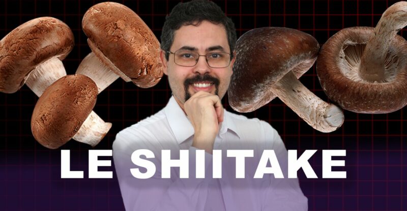Connaissez-vous le Shiitake ?