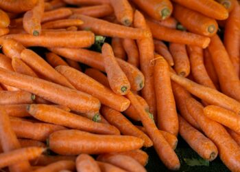 a pile of carrots sitting next to each other