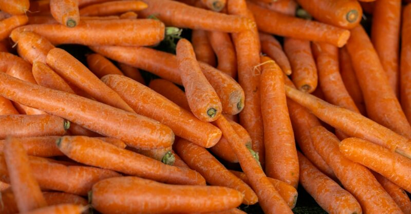 Vitamine A et Microbiome Intestinal : Une Relation Cruciale pour la Santé