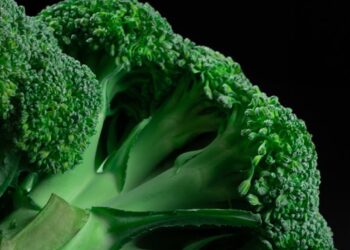 Fresh Green Broccoli on Black Background