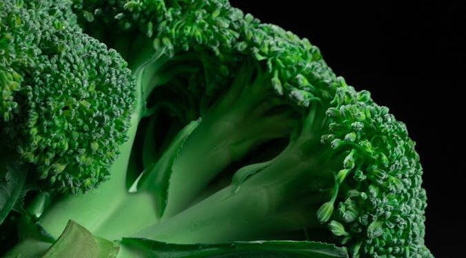 Fresh Green Broccoli on Black Background
