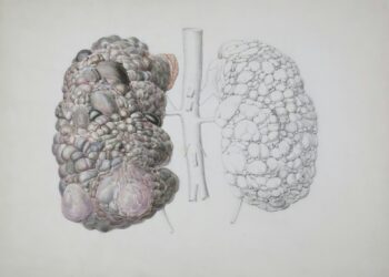 a drawing of a human and a brain