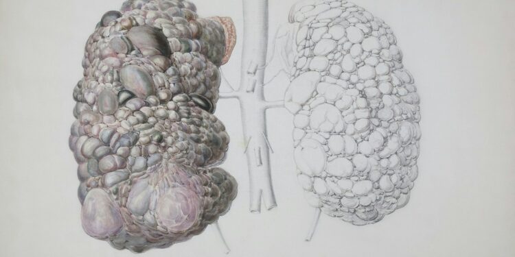 a drawing of a human and a brain