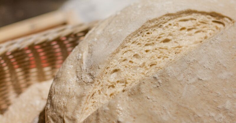 Le Gluten : Un Inducteur Proinflammatoire de l’Auto-Immunité