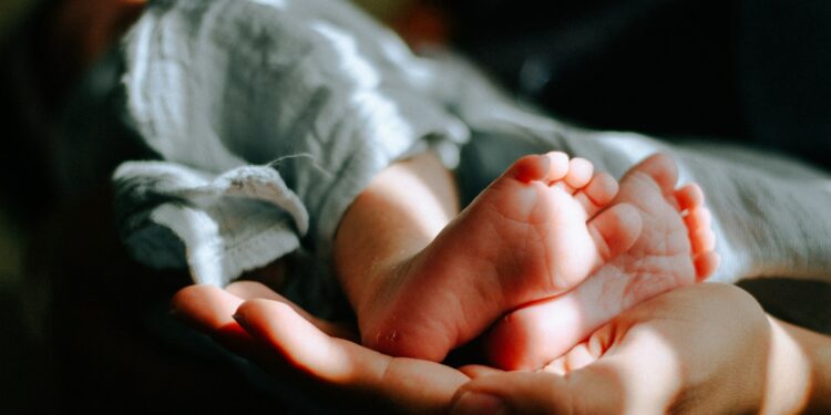 person holding baby feet