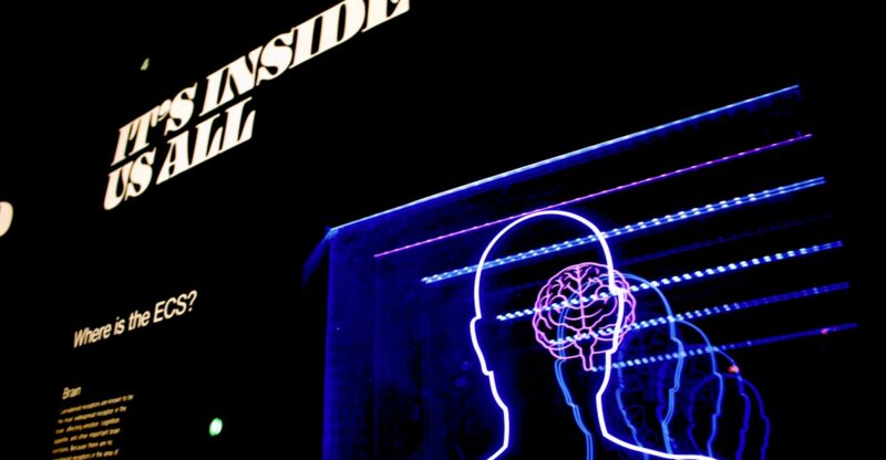 Les bienfaits de la fucoxanthine sur la cognition : un espoir pour améliorer la mémoire et la concentration