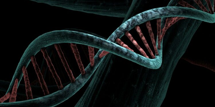 dna, biological, helix