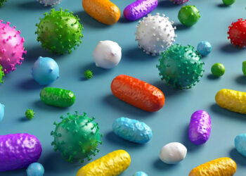 Votre Microbiote Intestinal : L&rsquo;Arme Secrète Contre les Infections
