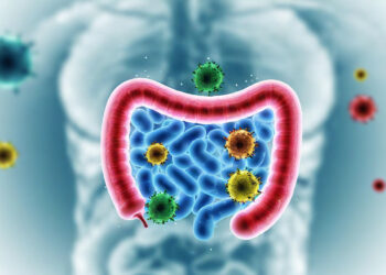 Le dialogue secret entre votre corps et vos bactéries intestinales : Implications pour la santé