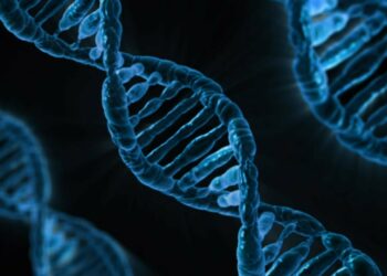 dna, biology, medicine, gene, microbiology, science, genetics, genetic material, laboratory, dna, dna, dna, dna, dna, biology, medicine, gene, science, genetics, laboratory
