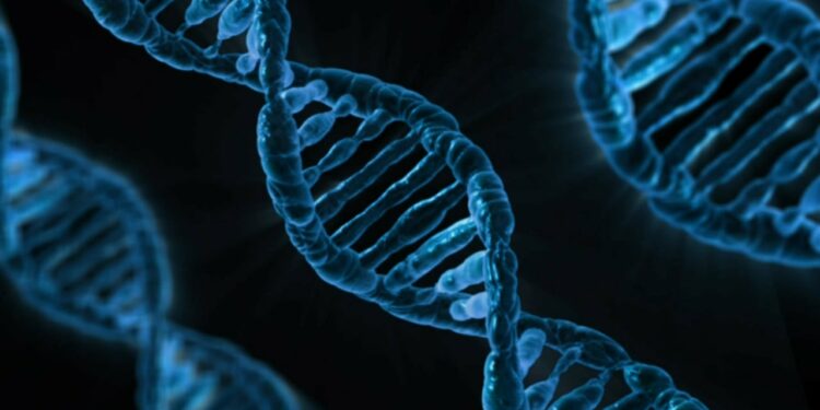 dna, biology, medicine, gene, microbiology, science, genetics, genetic material, laboratory, dna, dna, dna, dna, dna, biology, medicine, gene, science, genetics, laboratory