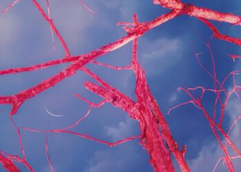 a close up of a tree branch against a blue sky