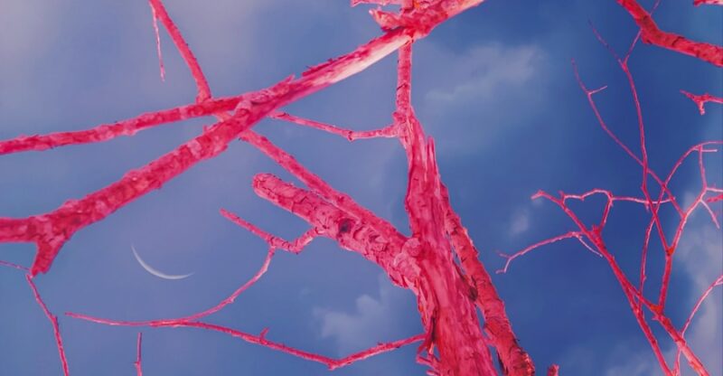 Vieillissement vasculaire : la signature invisible du microbiote intestinal