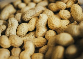 pile of peanuts