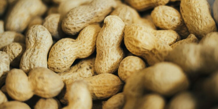 pile of peanuts