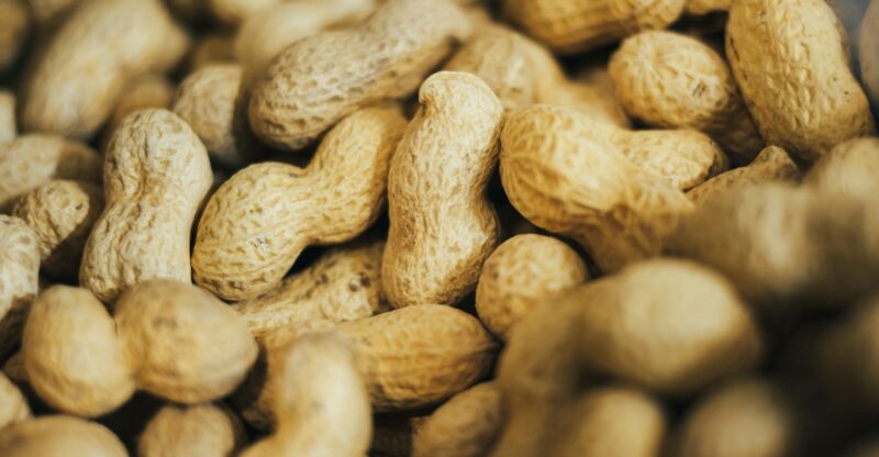Des avancées prometteuses dans la prévention de l’anaphylaxie alimentaire : le rôle clé des leucotriènes