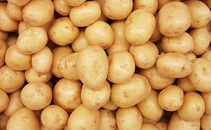 L&rsquo;origine hybride de la pomme de terre : quand le tubercule a changé le cours de l&rsquo;évolution