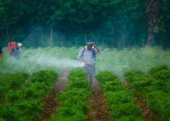 a man walking through a field covered in fog