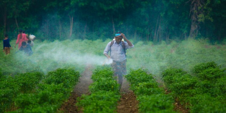 a man walking through a field covered in fog