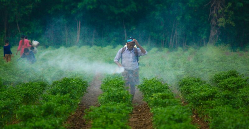 Pesticides : une catastrophe silencieuse pour la santé publique