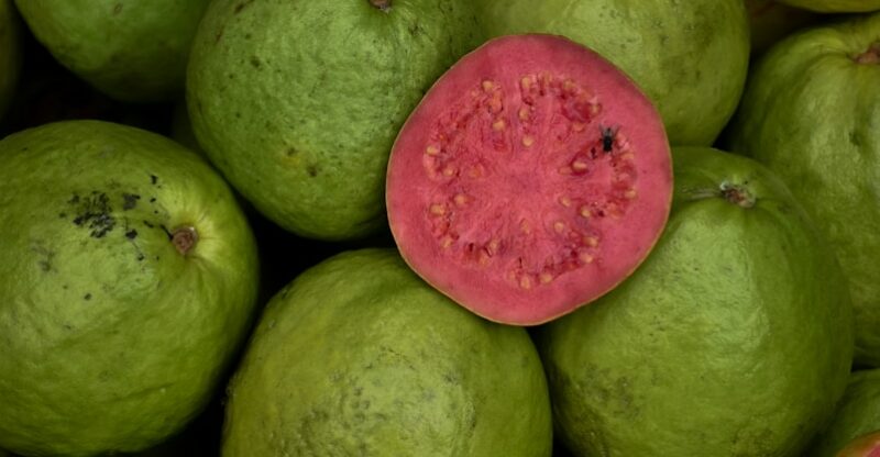 Une molécule issue de la goyave pourrait révolutionner le traitement du cancer du foie : une avancée prometteuse signée des chercheurs de l’Université du Delaware