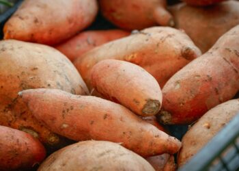 A pile of sweet potatoes in a basket.