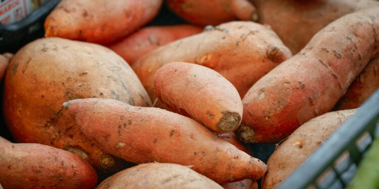 A pile of sweet potatoes in a basket.