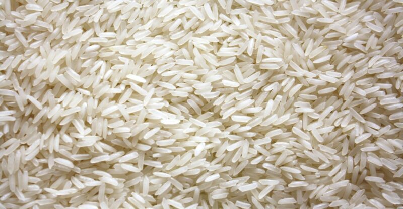 Nano-sélénium et culture du riz : une avancée majeure pour la sécurité alimentaire et la santé mondiale