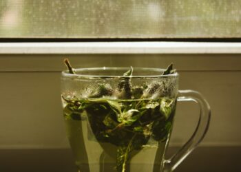 green leaf in clear glass mug