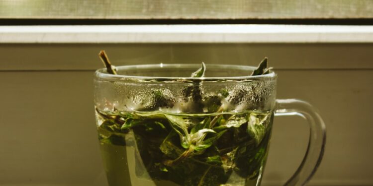 green leaf in clear glass mug