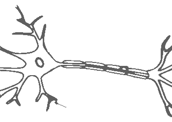 brain, neuron, nerves, cell, science, neurology, intelligence, brain, brain, neuron, neuron, neuron, neuron, neuron