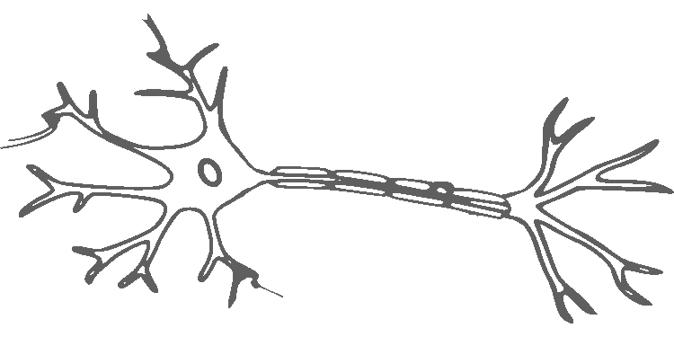 brain, neuron, nerves, cell, science, neurology, intelligence, brain, brain, neuron, neuron, neuron, neuron, neuron